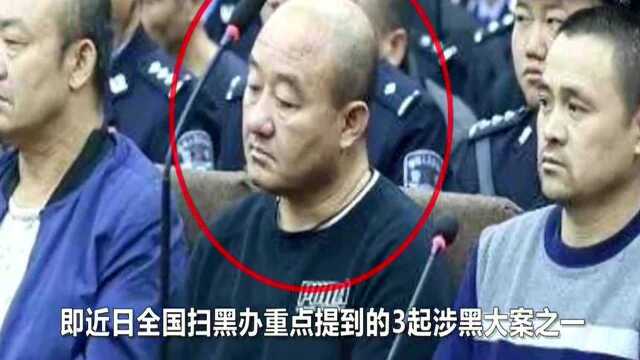 扫黑办点名吉林养鸡大王张永福:20年敛财3亿,最大保护伞曝光