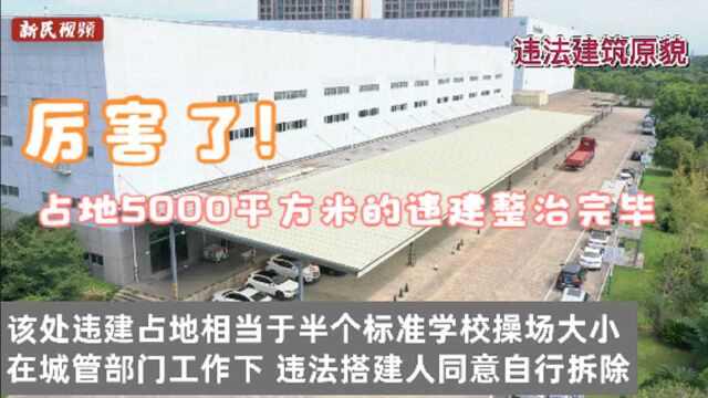 厉害了!上海这个占地5000平方米的违建整治完毕