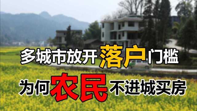 多城市放开落户门槛,为何农民没有大批进城买房?7个原因