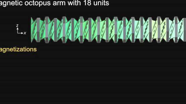 美国国家科学院院刊(2021). DOI: 10.1073 / pnas.2110023118