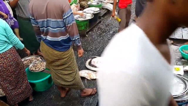 带你了解真实的缅甸,看看缅甸菜市场,都卖些什么?