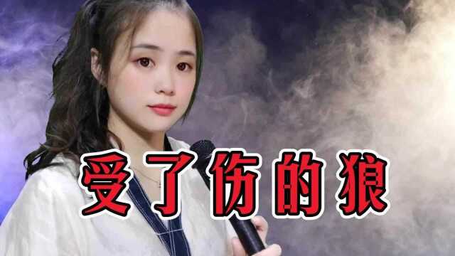 一首情歌《受了伤的狼》歌词伤感,凄婉的歌声让人喜欢,太好听了