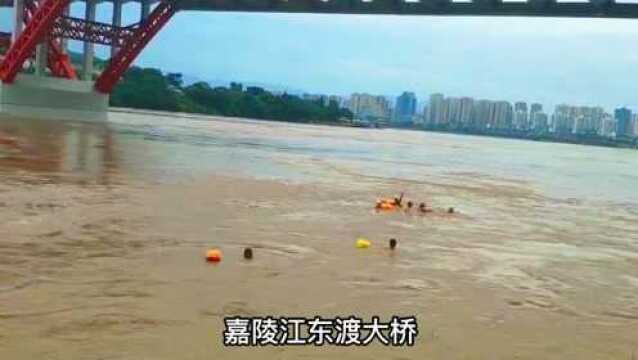 涨洪水了,嘉滨路,涪滨路,文峰公园,东津沱湿地公园的人行步道全部被淹