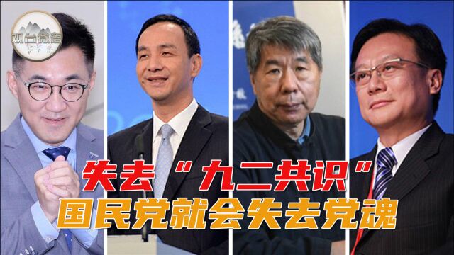 国民党主席选举“两岸论述”引关注 张彬:“九二共识”定海神针不能动