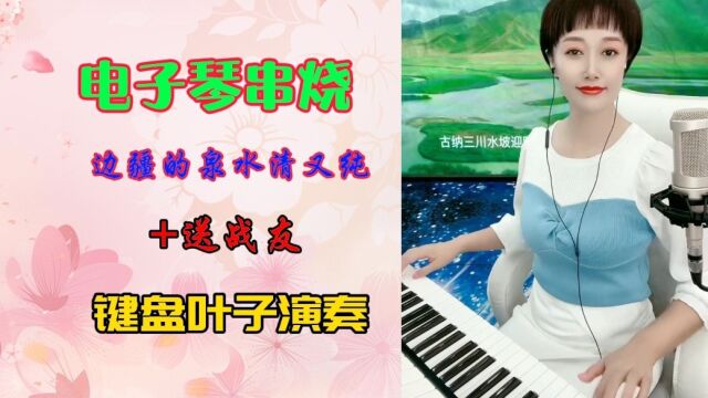 电子琴演奏红歌《边疆的泉水清又纯》串烧《送战友》,经典好听