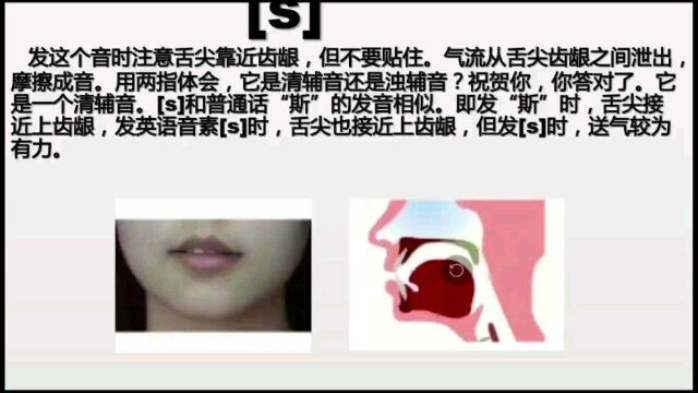 英语音标/s/的发音字母组合