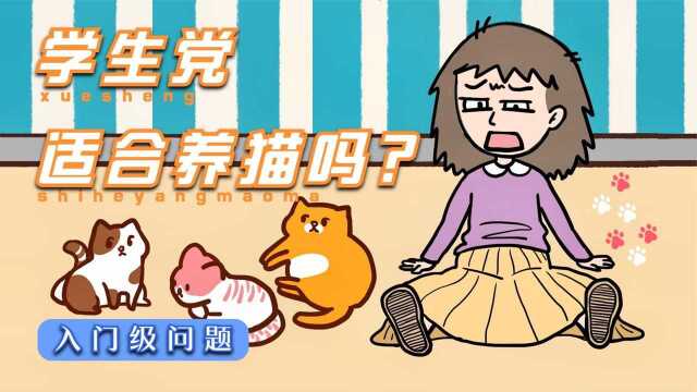 【小动画】想养宠物但父母不同意?先来看看这几个养猫的崩溃瞬间