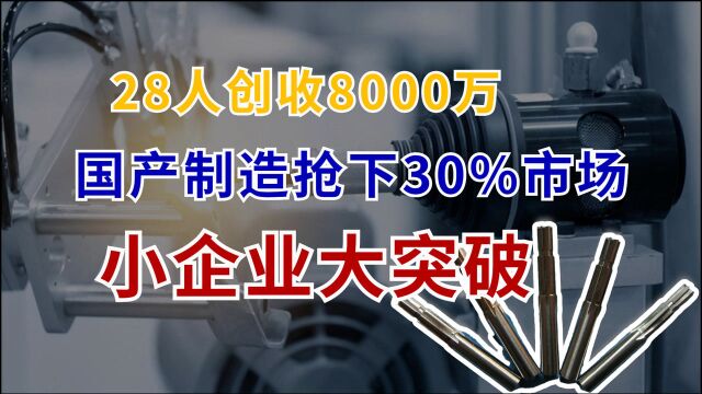 突破核心技术,国产制造巨头抢下30%中国市场,28人创收8000万