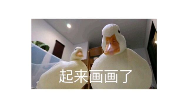 第六集:手机画画软件画世界的绘画体验