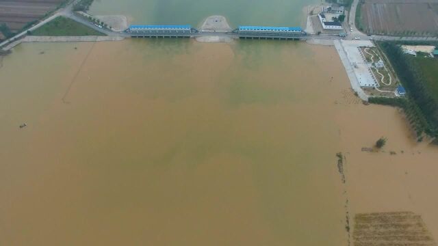 (电视通稿ⷥ›𝥆…ⷧ侤𜚩东平湖金山坝遇险 风雨同心全力织密防汛网