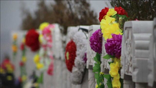 佛山重阳祭扫要预约吗?是否会限流?官方回应