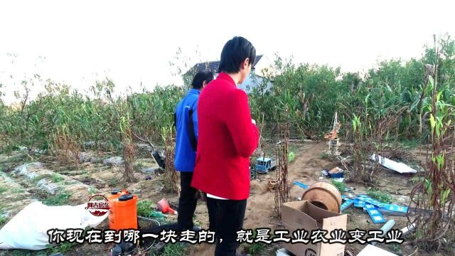 山东省杨树行,来了100万投资人,要投巨资建新区,哈哈