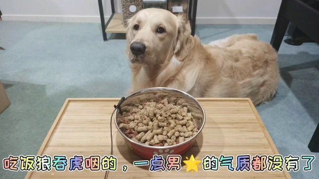 「土豆日记」吃饭狼吞虎咽的,一点气质都没有了