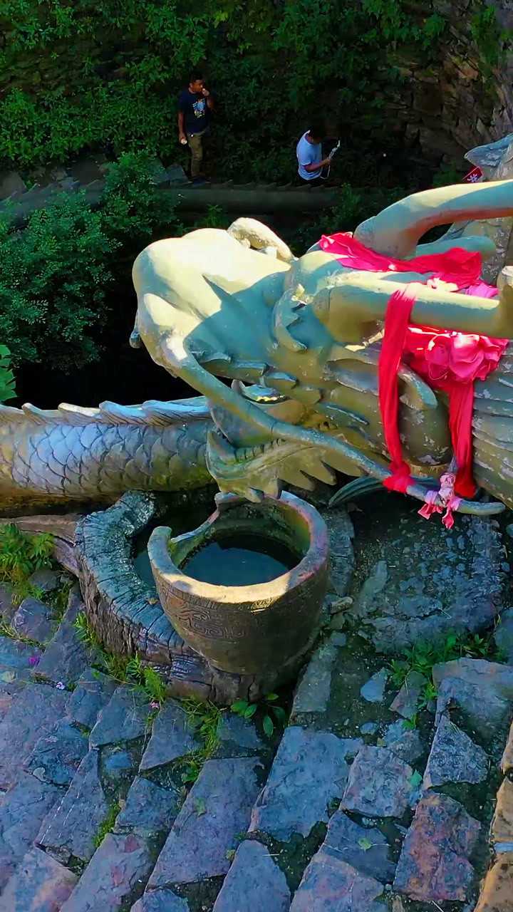 千年龙井,喝了龙井水长寿百岁,这里长寿村