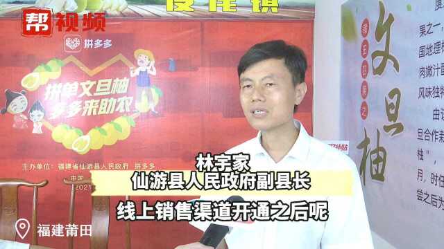 “现在你们把农产品卖到全中国”,政企联动助农销售文旦柚