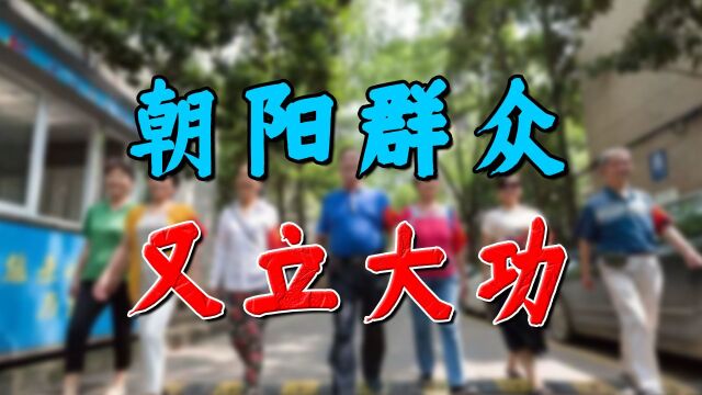 举报李云迪的朝阳群众,到底什么来头?