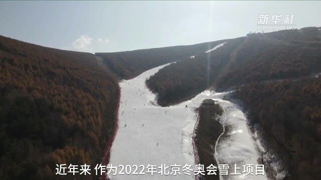 新华全媒+|播撒冰雪运动的种子 张家口掀起青少年“冰雪热”