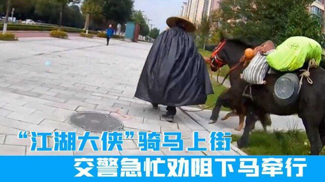 “江湖大侠”骑马上街,被交警劝阻下马牵行,交警:他从河南过来