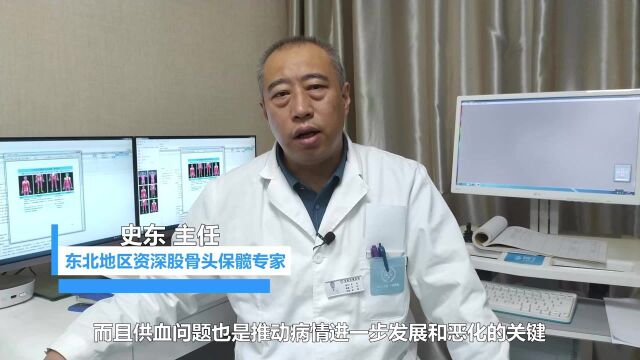 沈阳京城股骨头医院史东主任讲解:为什说股骨头恢复供血要内外兼顾?