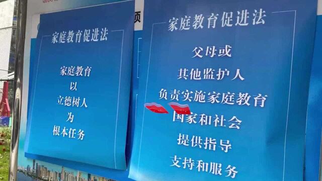 武汉一幼儿园多种方式学习《家庭教育促进法》:家长参与竞赛、拍视频谈心得