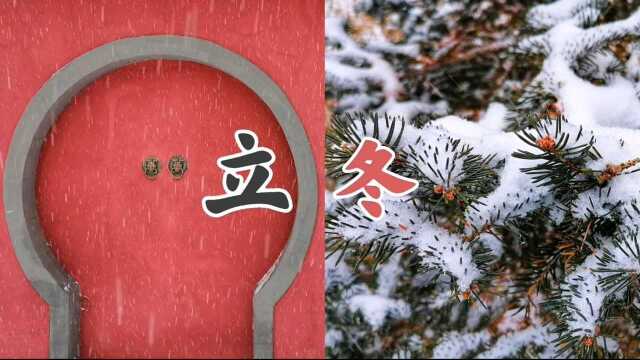 【路过风景】立冬的雪摄影作品赏