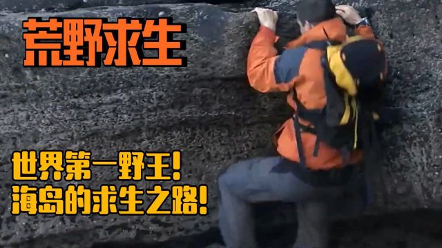 荒野求生:贝爷教大家如何野外生存,海岛的求生之路!