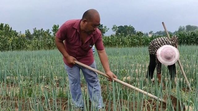 农民鲁智深忙里外忙,天上的事管一半,地下的事全管,务实型人才