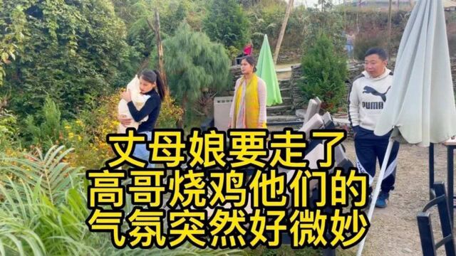 丈母娘突然要走高哥烧鸡他们一家的气氛突然好微妙