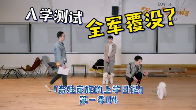 奈娃家族的上学日记第一季04——奈娃家族能否成为治疗犬?