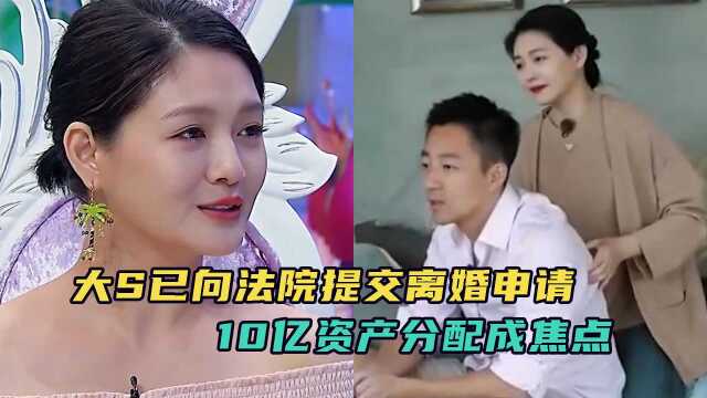 大S提交离婚申请,将与汪小菲争夺孩子抚养权,10亿资产分配成焦点