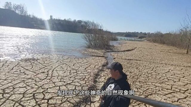 大水褪去后的郑州大水库出现神奇的自然现象,大地皲裂像瓷器