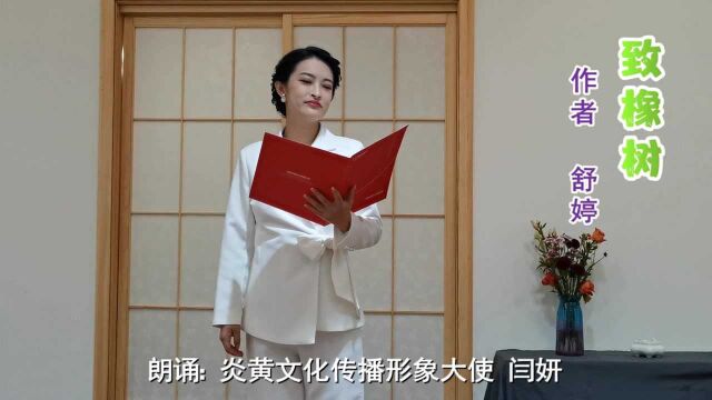 “根紧握在地下 叶相触在云里”听闫妍诵读舒婷的诗《致橡树》我们得到怎样的启迪?