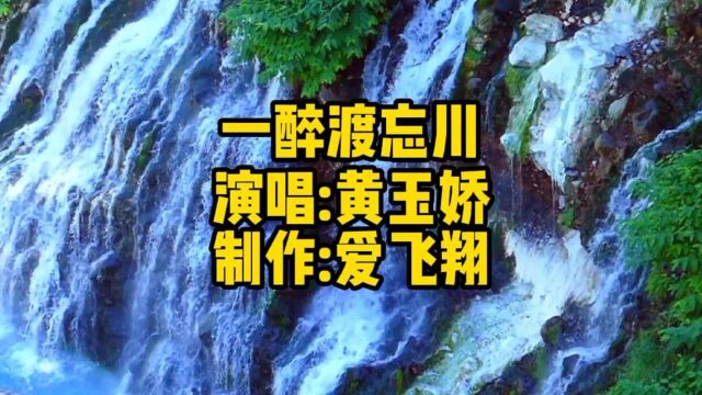 黄玉娇《一醉渡忘川》就算还有遗憾也总会释然