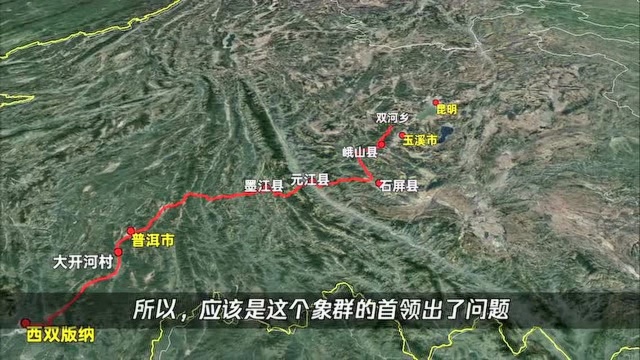 40多天500多公里,三维地图看云南象群“旅游”轨迹