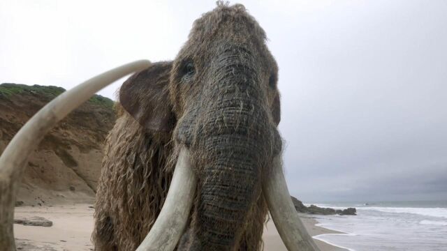 人类掉进大洞,穿越1万年前冰河时代,竟原地建立现代文明!科幻美剧 《拉布雷亚》第一季大结局