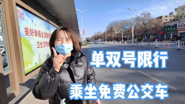 河南小城市单双号限行,全家乘坐免费公交车游玩,大都市感觉