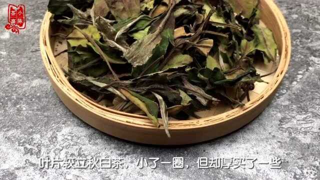 什么是白露茶?白露茶的形状、口感、香气如何?这里为你完整讲述