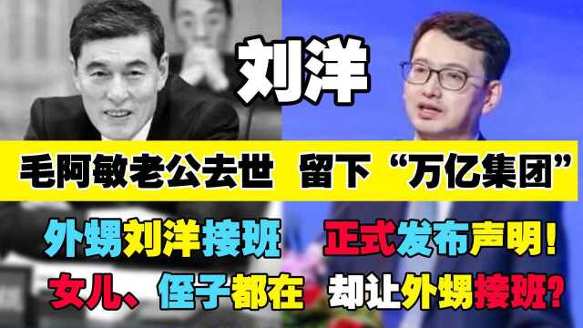 毛阿敏老公去世留下万亿集团,外甥刘洋接班,正式发布声明