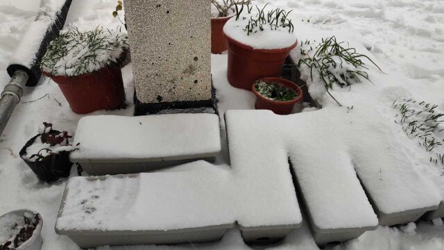 湖南突降大雪,楼顶种的花草、菜“遭了秧”,全被大雪盖住了