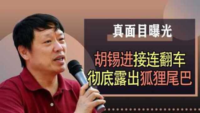 真面目曝光,胡锡进刚退休就露出“狐狸尾巴”,网友:滚出中国