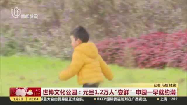 世博文化公园:元旦1.2万人“尝鲜” 申园一早就约满