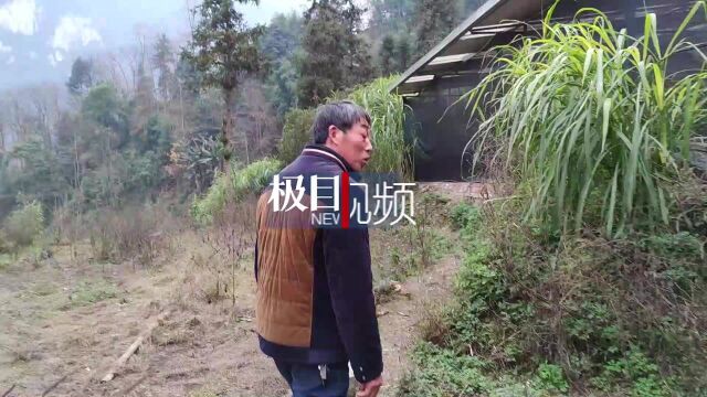 【视频】手绘地图寻亲的李景伟认亲前日,云南老家亲人代坟前告慰亡父