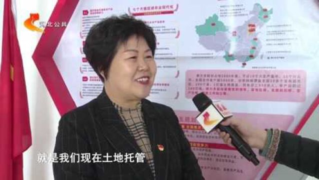 河北省人大代表王淑平:党建引领,土地托管助农增收