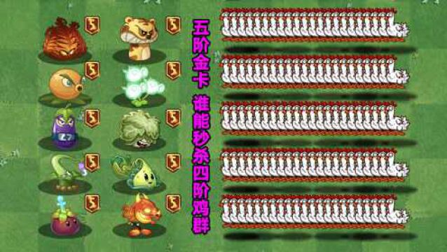 PVZ2植物群攻考核:10个满级金卡!谁才是鸡贼的克星?