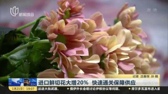 进口鲜切花大增20% 快速通关保障供应