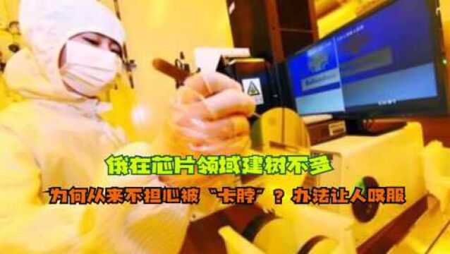 俄在芯片领域建树不多,为何从来不担心被“卡脖”?办法让人叹服