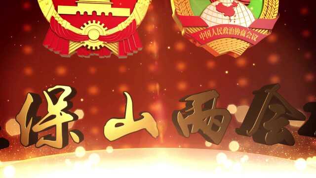 保山“两会”代表委员声音:全力营造一流营商环境.