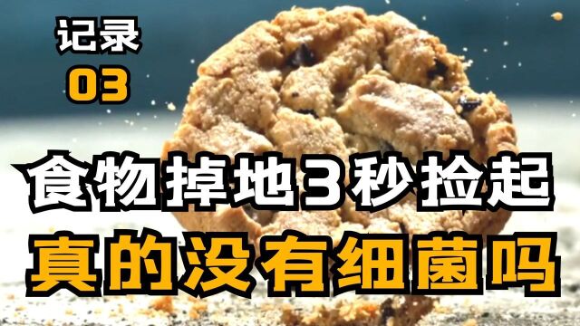 食物掉在地下三秒内捡起就不会有细菌,这是真的吗?