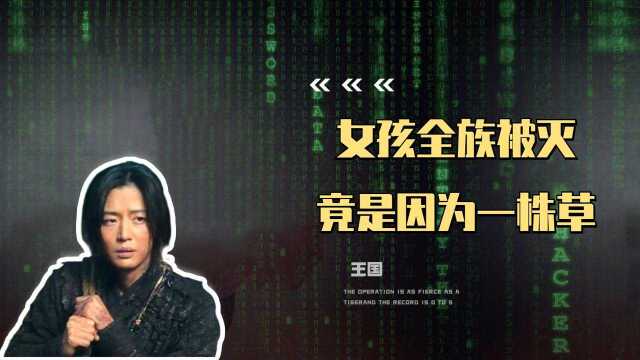 女孩全族被灭,竟是因为一株草,全智贤化身复仇女神强势来袭