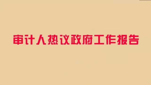 审计人热议政府工作报告——湖北省武汉市硚口区审计局张江善